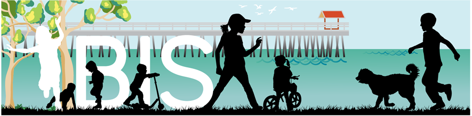 BIS heading banner