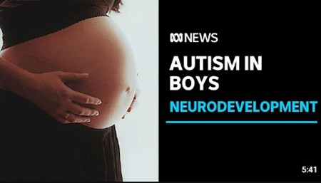 Association between prenatal exposure to plastics and autism in boys