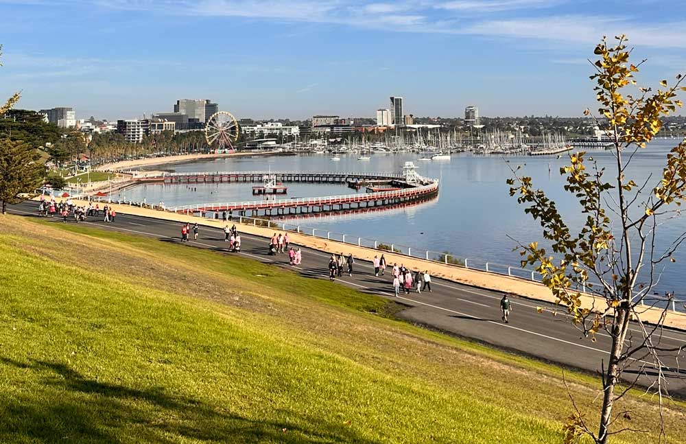 geelong infant study