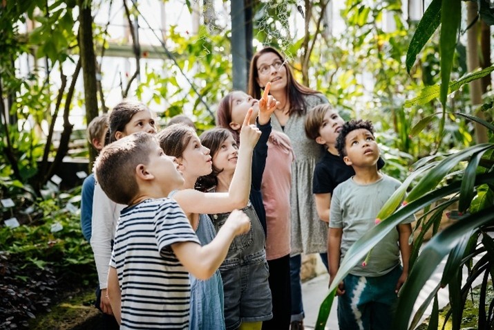 geelong study on kids